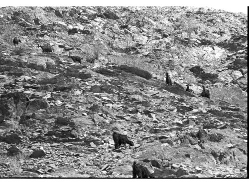 WF_14_05 - KM_5888