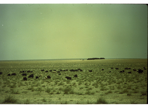 WF_10_03 - KM_6086