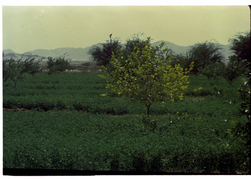 WF_10_03 - KM_6127