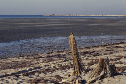 116_海のベドウィンⅠ　ＵＡＥ　'88 ③