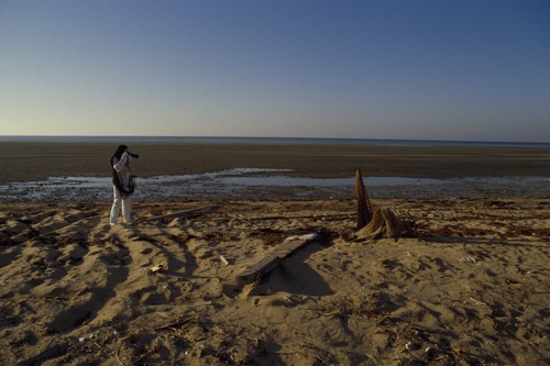 116_海のベドウィンⅠ　ＵＡＥ　'88 ③