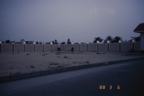 116_海のベドウィンⅠ　ＵＡＥ　'88 ③
