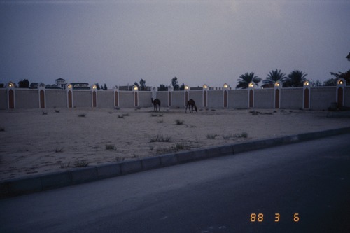 116_海のベドウィンⅠ　ＵＡＥ　'88 ③