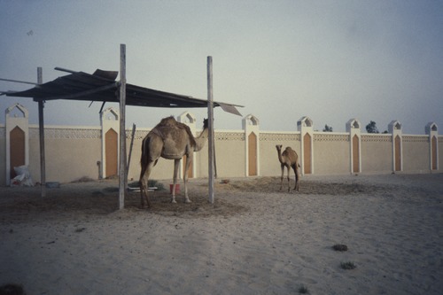 116_海のベドウィンⅠ　ＵＡＥ　'88 ③