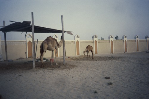 116_海のベドウィンⅠ　ＵＡＥ　'88 ③