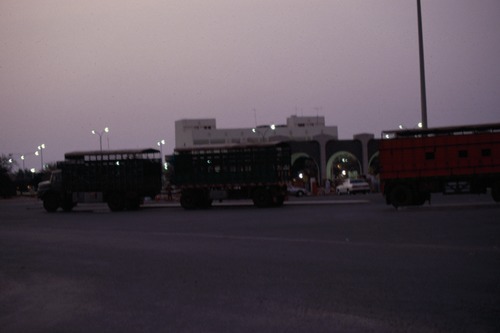 119_ＵＡＥ　'88 ⑥ スクールガナム　絨毯市場　陰に憩うラクダ 文献センター日本部門