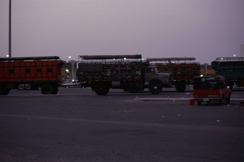 119_ＵＡＥ　'88 ⑥ スクールガナム　絨毯市場　陰に憩うラクダ 文献センター日本部門