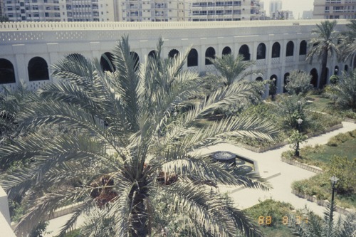 119_ＵＡＥ　'88 ⑥ スクールガナム　絨毯市場　陰に憩うラクダ 文献センター日本部門