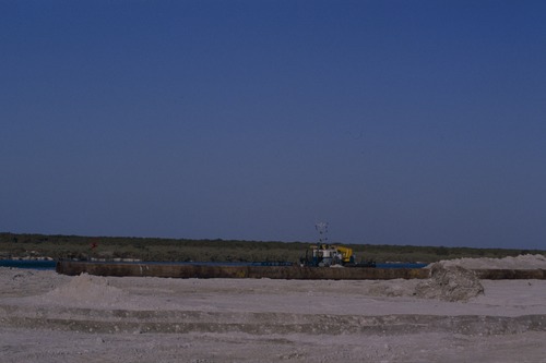 119_ＵＡＥ　'88 ⑥ スクールガナム　絨毯市場　陰に憩うラクダ 文献センター日本部門