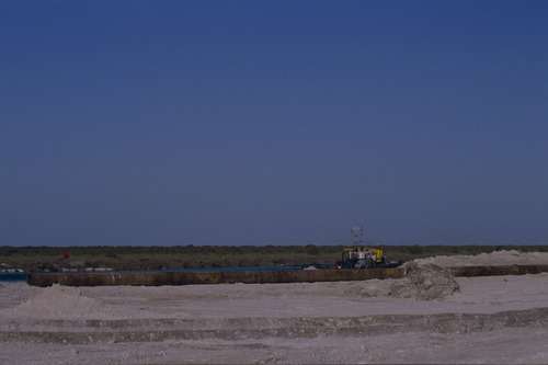 119_ＵＡＥ　'88 ⑥ スクールガナム　絨毯市場　陰に憩うラクダ 文献センター日本部門