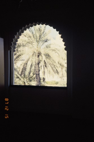 119_ＵＡＥ　'88 ⑥ スクールガナム　絨毯市場　陰に憩うラクダ 文献センター日本部門