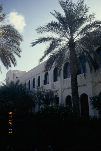 119_ＵＡＥ　'88 ⑥ スクールガナム　絨毯市場　陰に憩うラクダ 文献センター日本部門