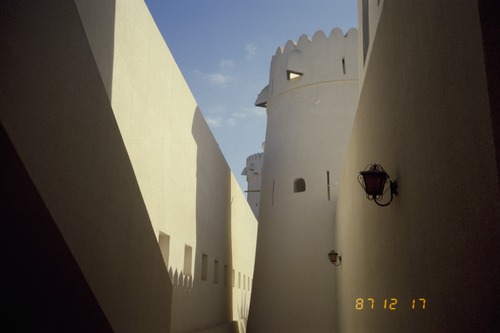 119_ＵＡＥ　'88 ⑥ スクールガナム　絨毯市場　陰に憩うラクダ 文献センター日本部門