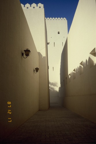 119_ＵＡＥ　'88 ⑥ スクールガナム　絨毯市場　陰に憩うラクダ 文献センター日本部門