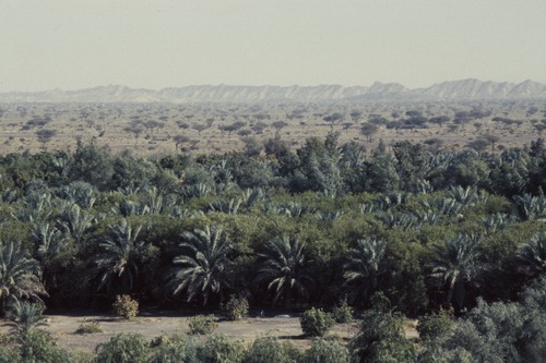 120_ＵＡＥ　'88 ⑦ アル・アインの井戸　ファラジの親分 アブダッラ　クウェイティの邸