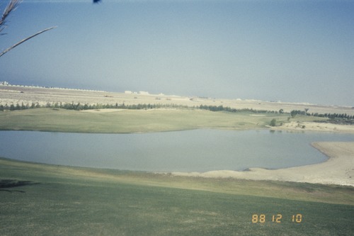 121_ＵＡＥ　'88.12月 ⑧ イスラム墓地　らくだ基地　息子孫との１日