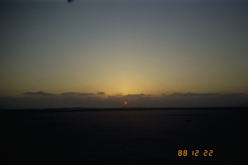 121_ＵＡＥ　'88.12月 ⑧ イスラム墓地　らくだ基地　息子孫との１日