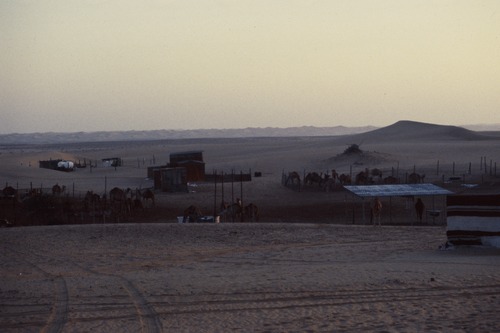 121_ＵＡＥ　'88.12月 ⑧ イスラム墓地　らくだ基地　息子孫との１日