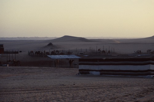121_ＵＡＥ　'88.12月 ⑧ イスラム墓地　らくだ基地　息子孫との１日
