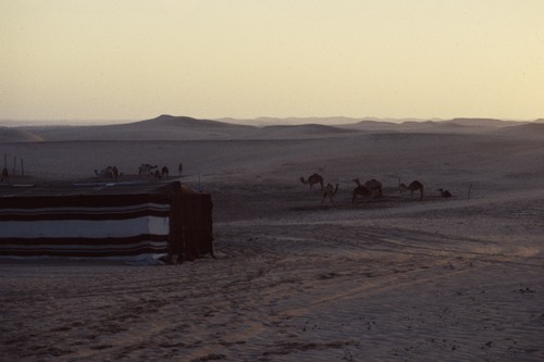 121_ＵＡＥ　'88.12月 ⑧ イスラム墓地　らくだ基地　息子孫との１日