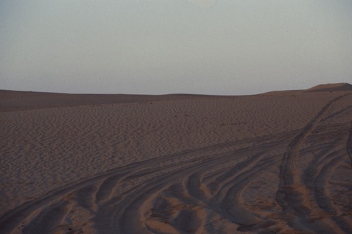 121_ＵＡＥ　'88.12月 ⑧ イスラム墓地　らくだ基地　息子孫との１日