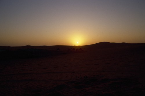 121_ＵＡＥ　'88.12月 ⑧ イスラム墓地　らくだ基地　息子孫との１日