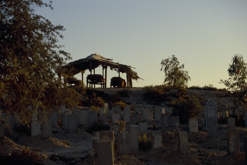 121_ＵＡＥ　'88.12月 ⑧ イスラム墓地　らくだ基地　息子孫との１日