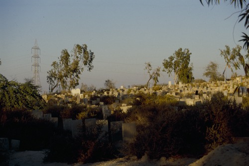 121_ＵＡＥ　'88.12月 ⑧ イスラム墓地　らくだ基地　息子孫との１日