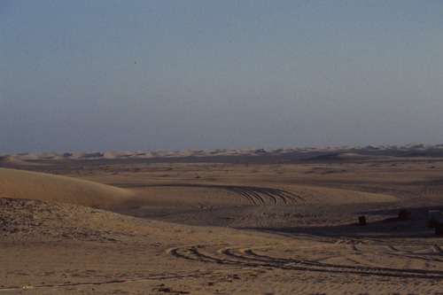 121_ＵＡＥ　'88.12月 ⑧ イスラム墓地　らくだ基地　息子孫との１日