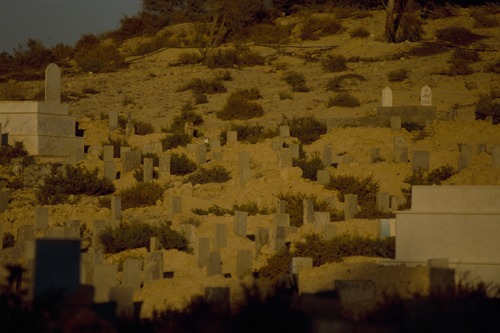 121_ＵＡＥ　'88.12月 ⑧ イスラム墓地　らくだ基地　息子孫との１日