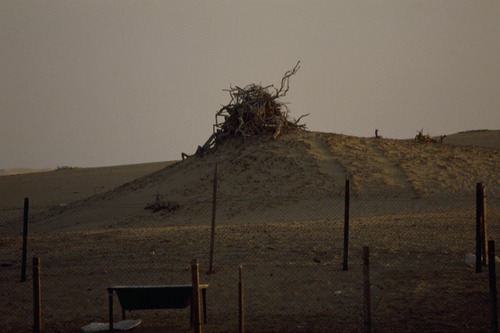 121_ＵＡＥ　'88.12月 ⑧ イスラム墓地　らくだ基地　息子孫との１日