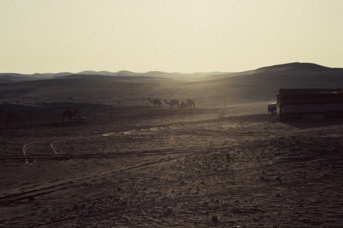 121_ＵＡＥ　'88.12月 ⑧ イスラム墓地　らくだ基地　息子孫との１日