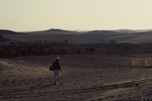 121_ＵＡＥ　'88.12月 ⑧ イスラム墓地　らくだ基地　息子孫との１日