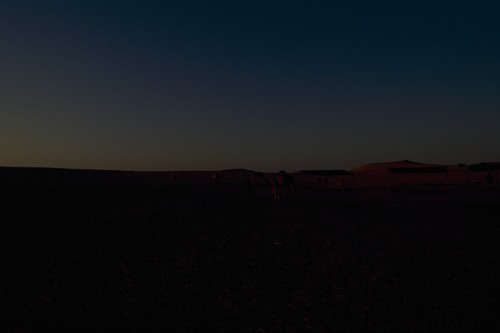 121_ＵＡＥ　'88.12月 ⑧ イスラム墓地　らくだ基地　息子孫との１日