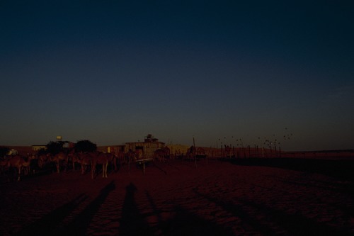 121_ＵＡＥ　'88.12月 ⑧ イスラム墓地　らくだ基地　息子孫との１日