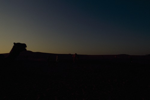 121_ＵＡＥ　'88.12月 ⑧ イスラム墓地　らくだ基地　息子孫との１日