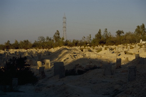 121_ＵＡＥ　'88.12月 ⑧ イスラム墓地　らくだ基地　息子孫との１日