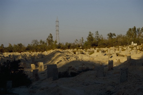 121_ＵＡＥ　'88.12月 ⑧ イスラム墓地　らくだ基地　息子孫との１日