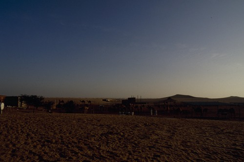 121_ＵＡＥ　'88.12月 ⑧ イスラム墓地　らくだ基地　息子孫との１日