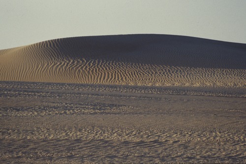 121_ＵＡＥ　'88.12月 ⑧ イスラム墓地　らくだ基地　息子孫との１日