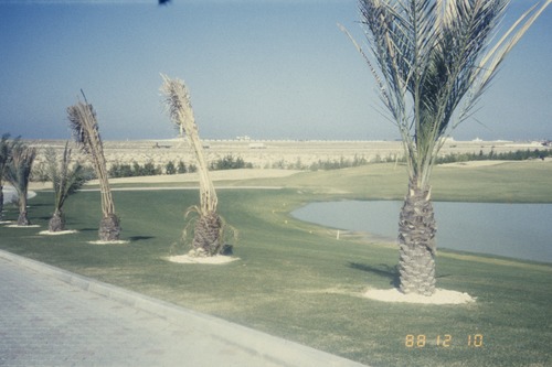 121_ＵＡＥ　'88.12月 ⑧ イスラム墓地　らくだ基地　息子孫との１日