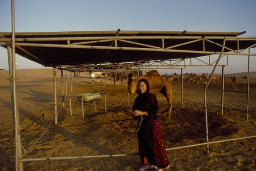 121_ＵＡＥ　'88.12月 ⑧ イスラム墓地　らくだ基地　息子孫との１日