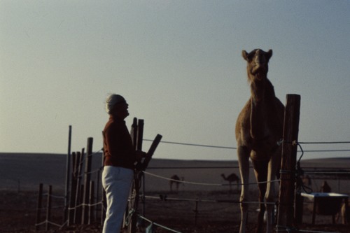 121_ＵＡＥ　'88.12月 ⑧ イスラム墓地　らくだ基地　息子孫との１日