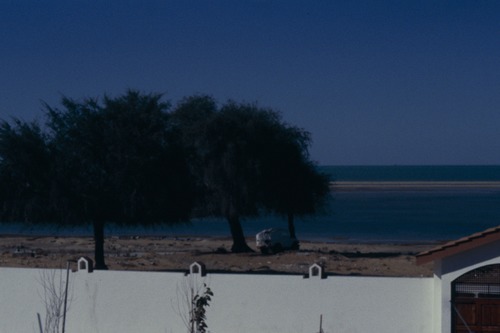 126_アブダビの女性　ＵＡＥ　'88 Ⅰ