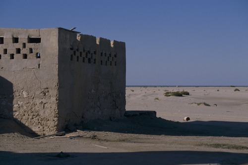 127_アブダビの女性　ＵＡＥ　'88 Ⅱ