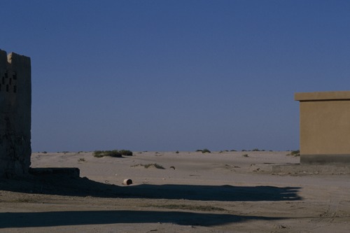 127_アブダビの女性　ＵＡＥ　'88 Ⅱ