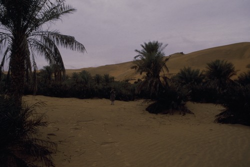 127_アブダビの女性　ＵＡＥ　'88 Ⅱ