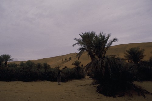 127_アブダビの女性　ＵＡＥ　'88 Ⅱ