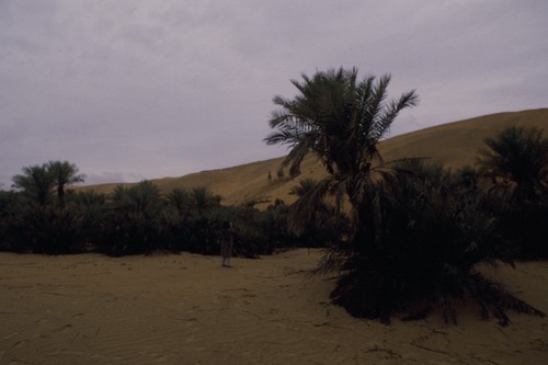 127_アブダビの女性　ＵＡＥ　'88 Ⅱ