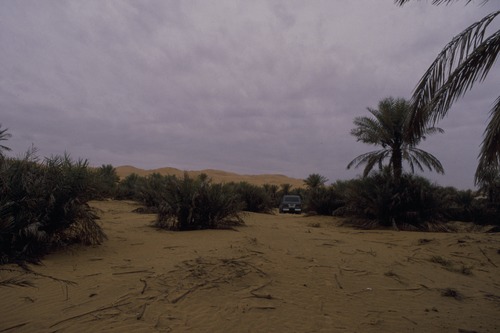 127_アブダビの女性　ＵＡＥ　'88 Ⅱ